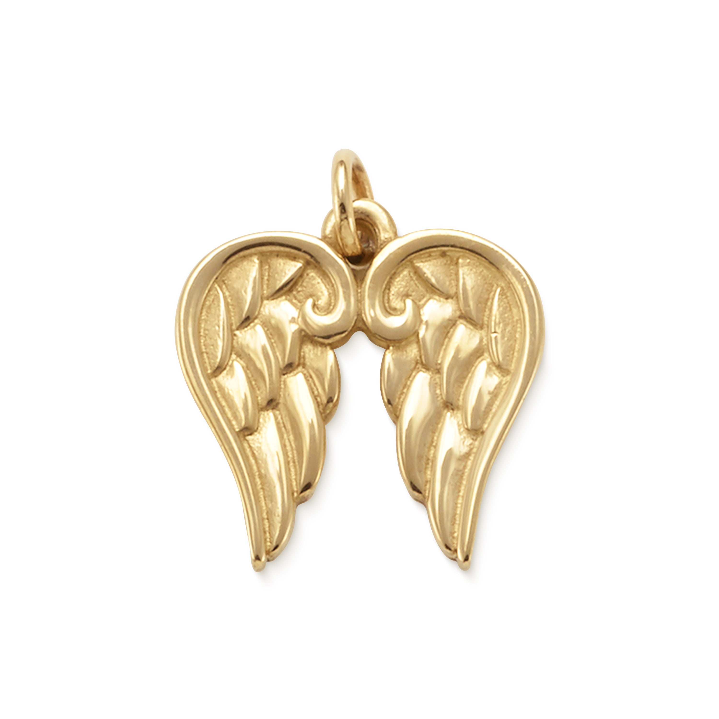 Angel Wings Charm