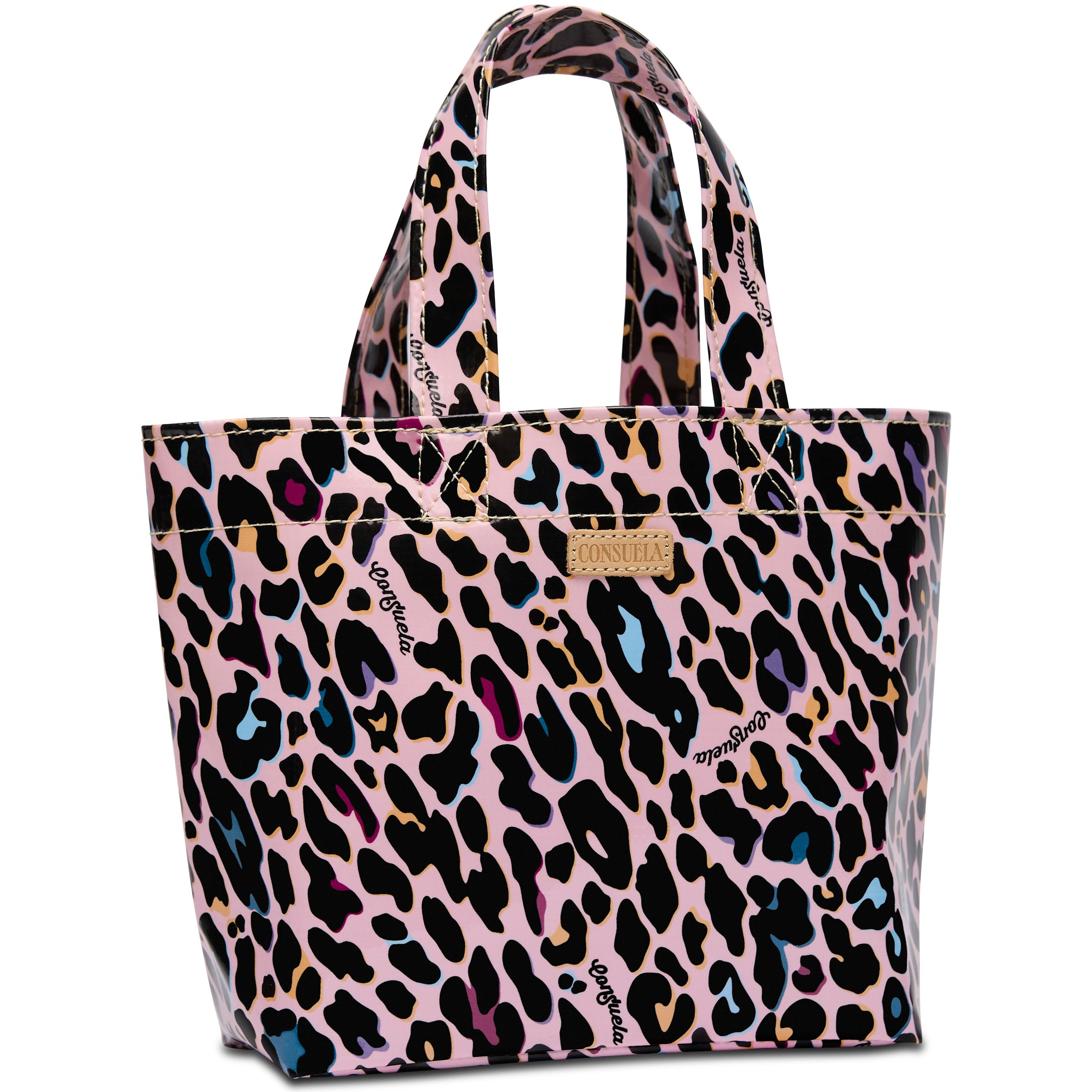 Consuela Colorful Mini Utility Tote Bag