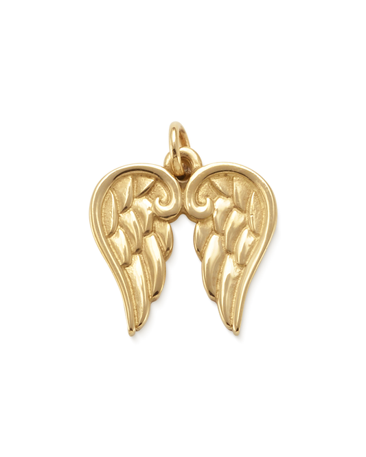 Angel Wings Charm