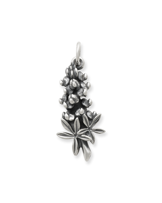 Bluebonnet Charm