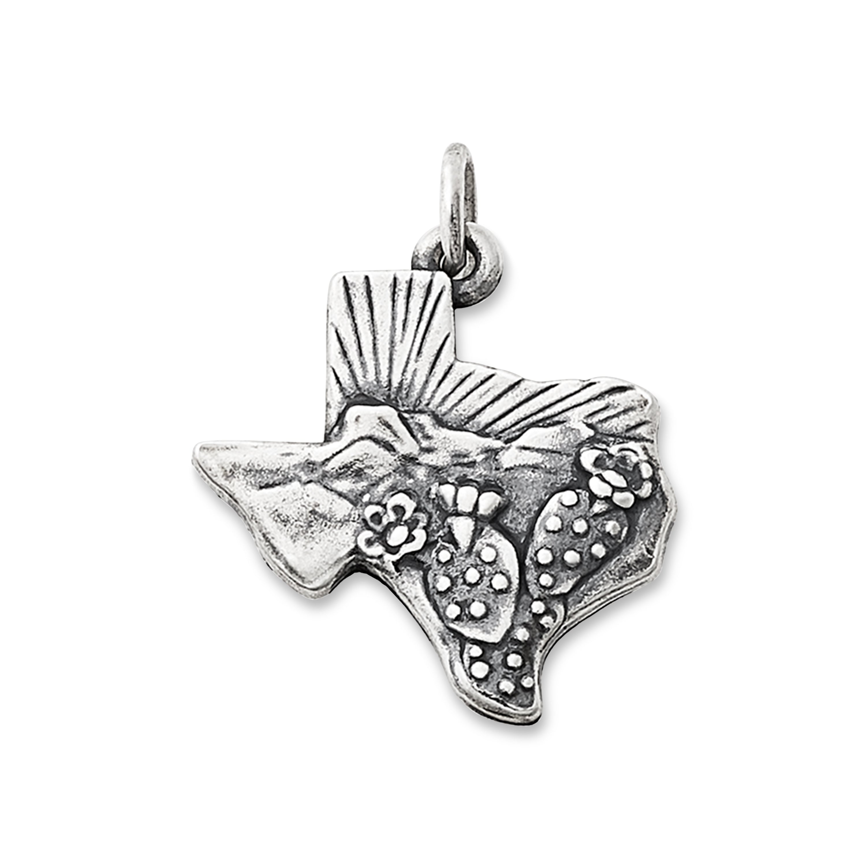 Texas Landscape Charm