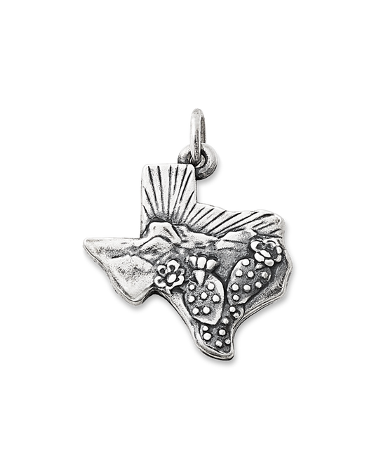 Texas Landscape Charm