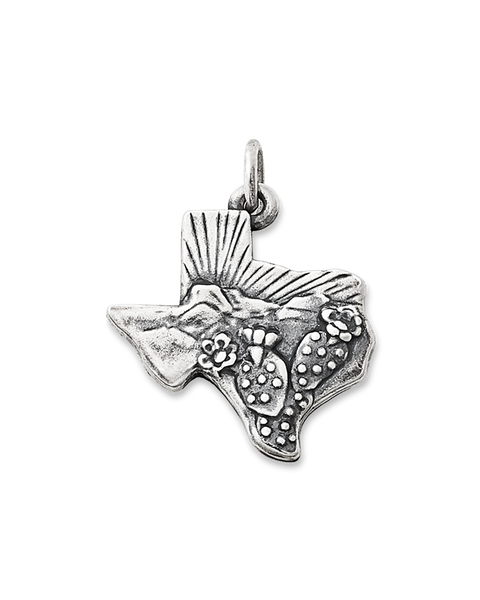 Texas Landscape Charm – Consuela