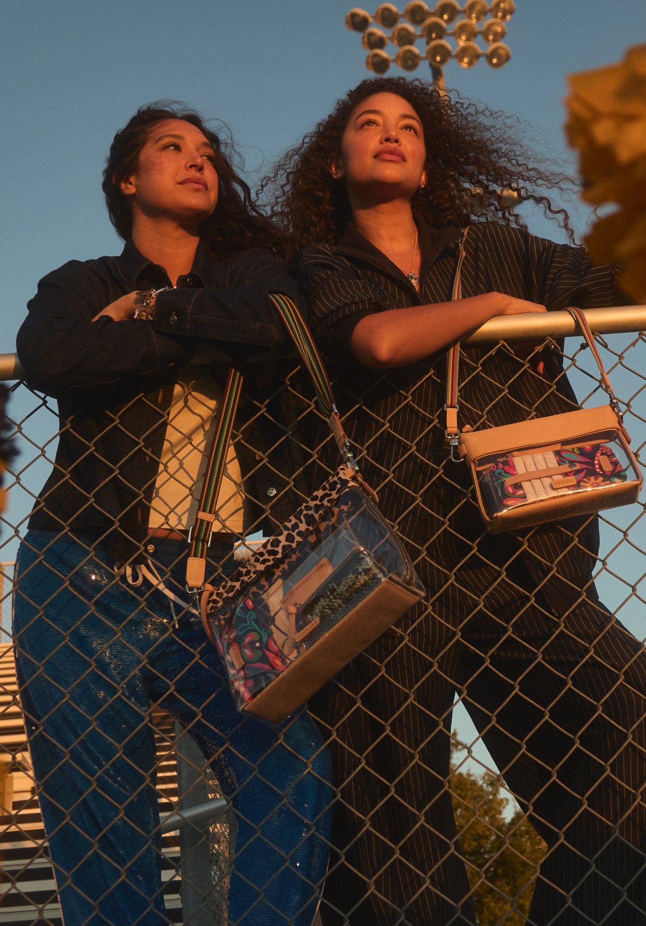 Clear Bags