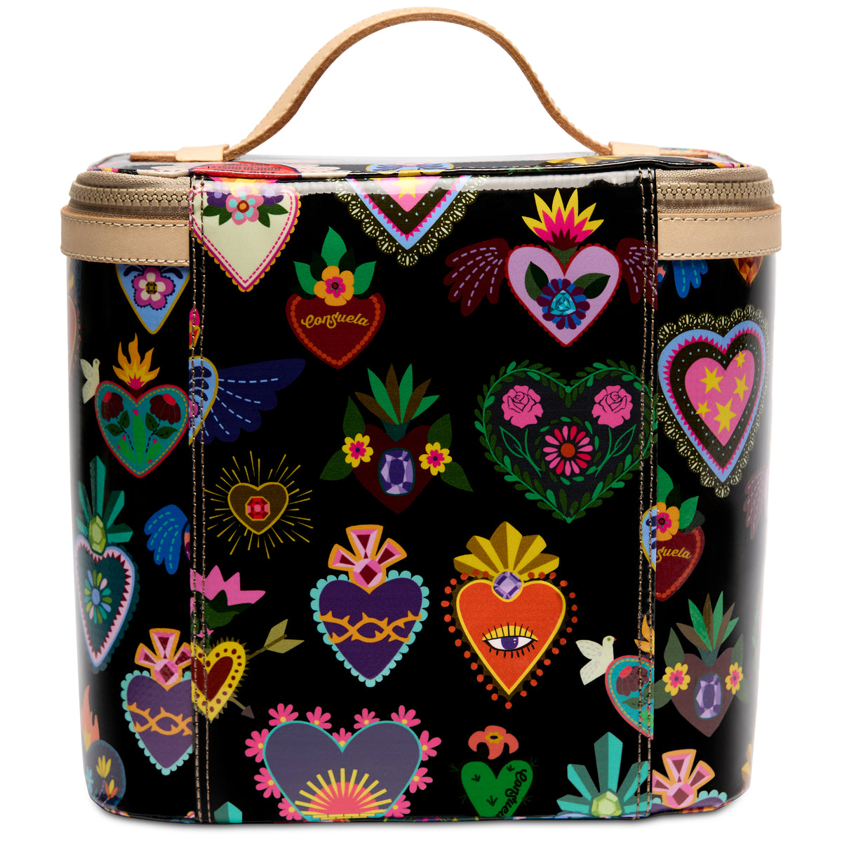 Vida Slim Train Case
