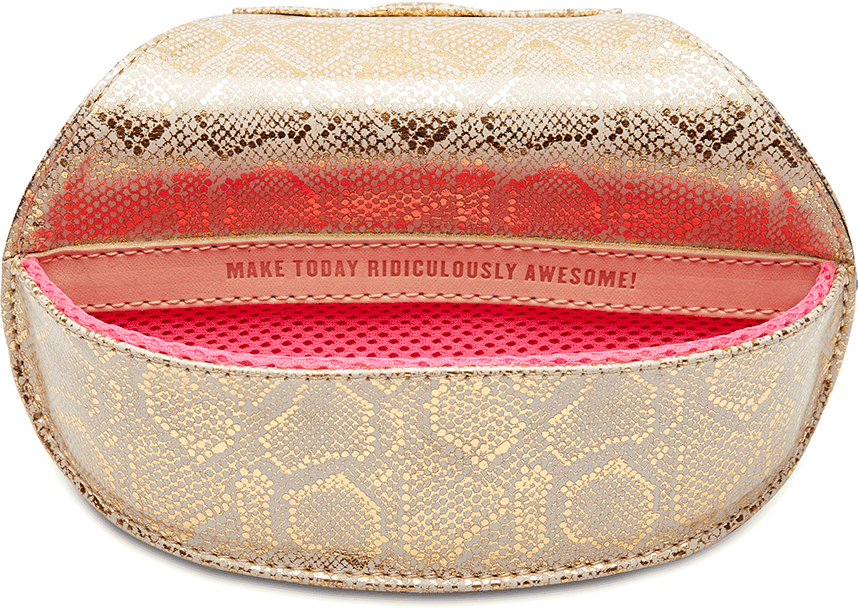 Gilded Sunglass Case